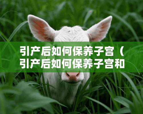 引产后如何保养子宫（引产后如何保养子宫和盆底肌）