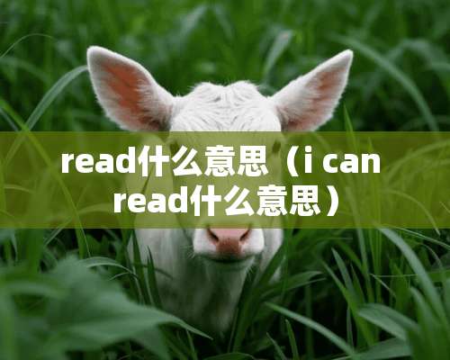 read什么意思（i can read什么意思）