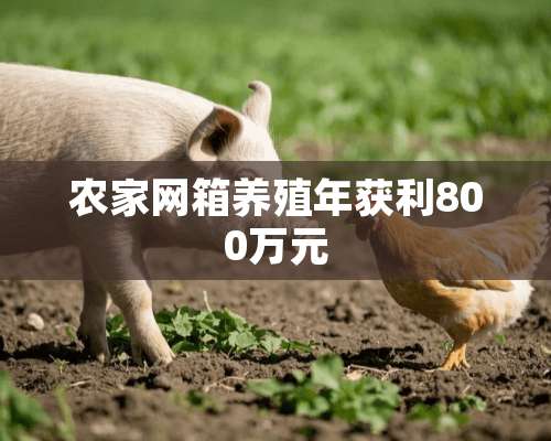 农家网箱养殖年获利800万元