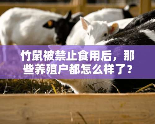 竹鼠被禁止食用后，那些养殖户都怎么样了？