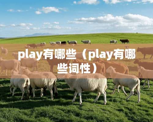 play有哪些（play有哪些词性）