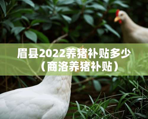 眉县2022养猪补贴多少（商洛养猪补贴）