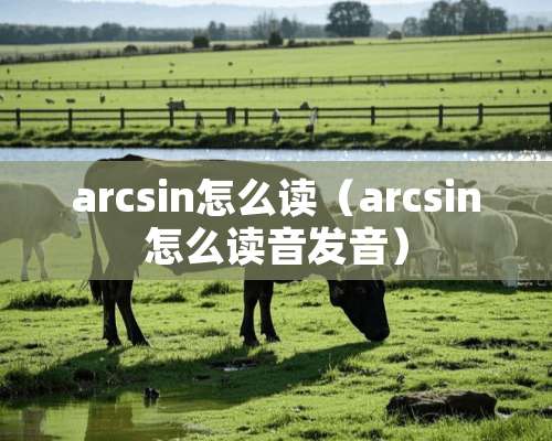 arcsin怎么读（arcsin怎么读音发音）