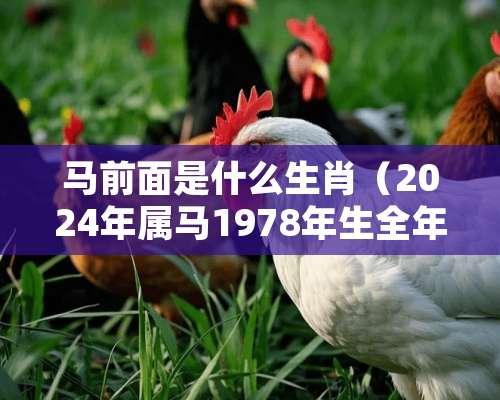 马前面是什么生肖（2024年属马1978年生全年运势如何）