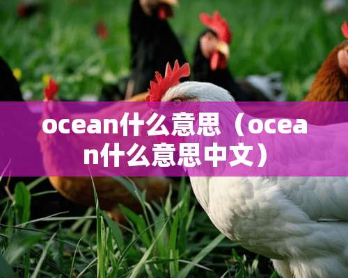 ocean什么意思（ocean什么意思中文）