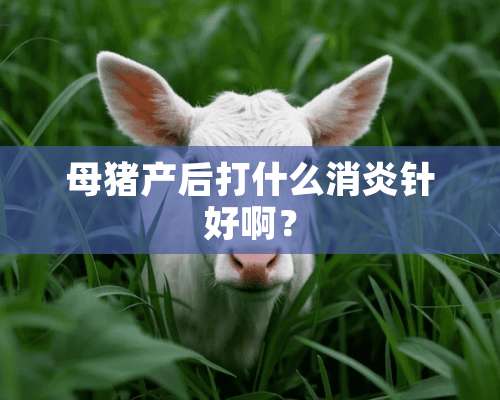 母猪产后打什么消炎针好啊？