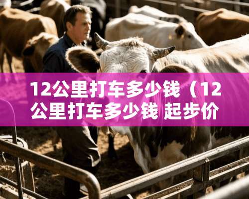 12公里打车多少钱（12公里打车多少钱 起步价是7块）