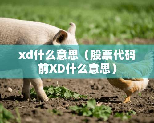 xd什么意思（股票代码前XD什么意思）