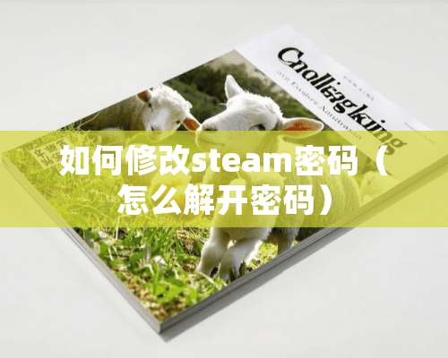 如何修改steam密码（怎么解开密码）