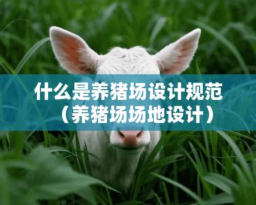 什么是养猪场设计规范（养猪场场地设计）