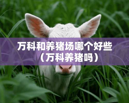 万科和养猪场哪个好些（万科养猪吗）