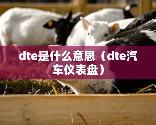 dte是什么意思（dte汽车仪表盘）