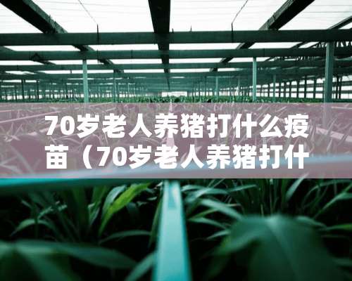 70岁老人养猪打什么疫苗（70岁老人养猪打什么疫苗好）