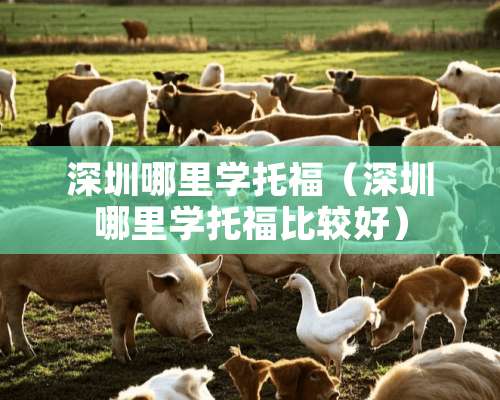 深圳哪里学托福（深圳哪里学托福比较好）