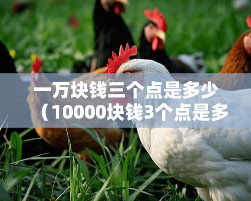 一万块钱三个点是多少（10000块钱3个点是多少?）