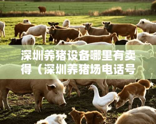 深圳养猪设备哪里有卖得（深圳养猪场电话号码）