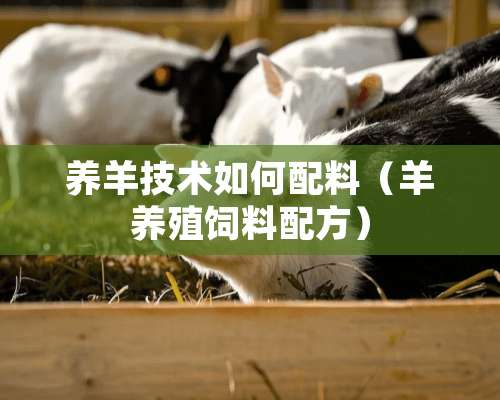 养羊技术如何配料（羊养殖饲料配方）