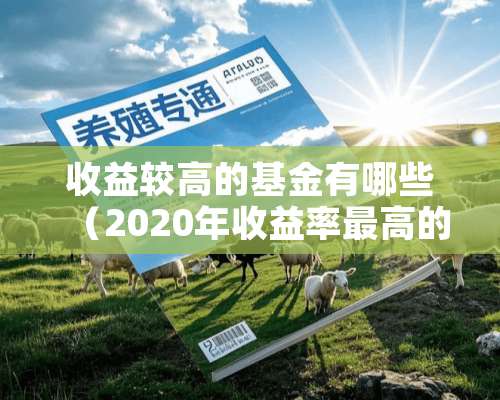 收益较高的基金有哪些（2020年收益率最高的十大基金）