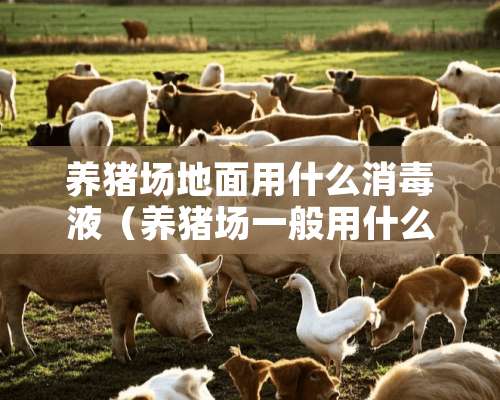 养猪场地面用什么消毒液（养猪场一般用什么消毒液）