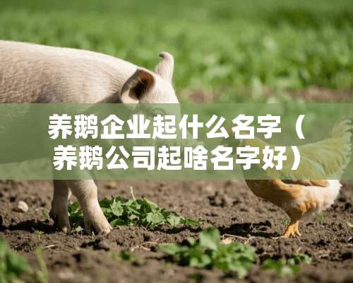 养鹅企业起什么名字（养鹅公司起啥名字好）