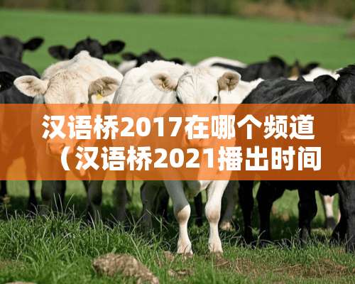 汉语桥2017在哪个频道（汉语桥2021播出时间）