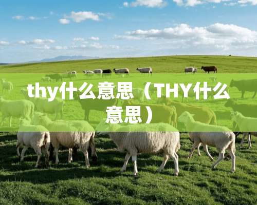 thy什么意思（THY什么意思）