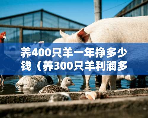 养400只羊一年挣多少钱（养300只羊利润多少）