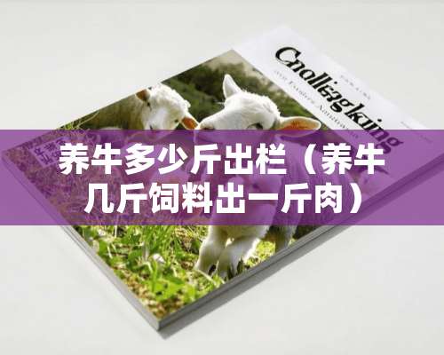 养牛多少斤出栏（养牛几斤饲料出一斤肉）