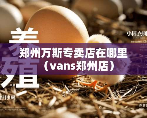 郑州万斯专卖店在哪里（vans郑州店）