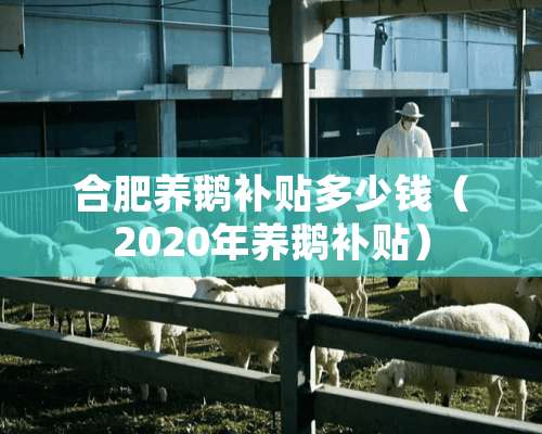 合肥养鹅补贴多少钱（2020年养鹅补贴）