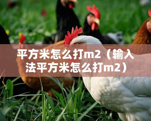 平方米怎么打m2（输入法平方米怎么打m2）