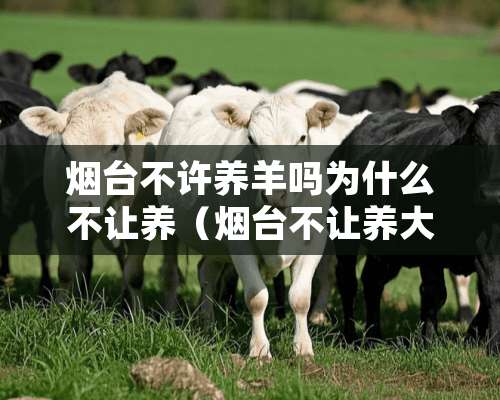 烟台不许养羊吗为什么不让养（烟台不让养大型犬吗）