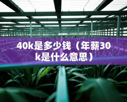 40k是多少钱（年薪30k是什么意思）