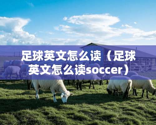 **英文怎么读（**英文怎么读soccer）