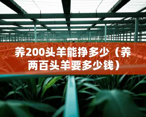 养200头羊能挣多少（养两百头羊要多少钱）