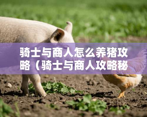 骑士与商人怎么养猪攻略（骑士与商人攻略秘籍）