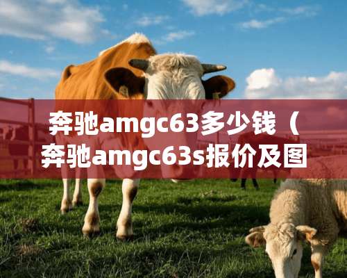 奔驰amgc63多少钱（奔驰amgc63s报价及图片）