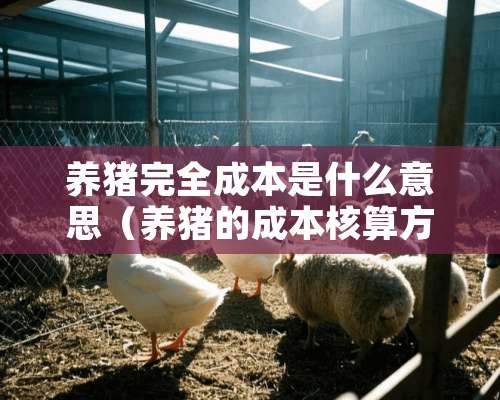 养猪完全成本是什么意思（养猪的成本核算方法）