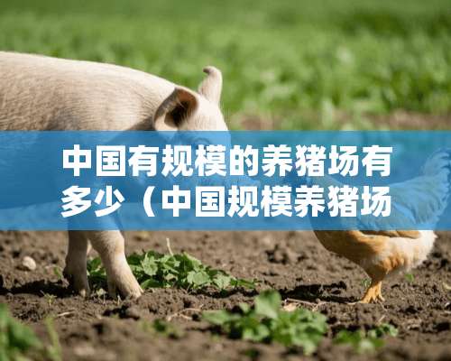 中国有规模的养猪场有多少（中国规模养猪场数量有多少）