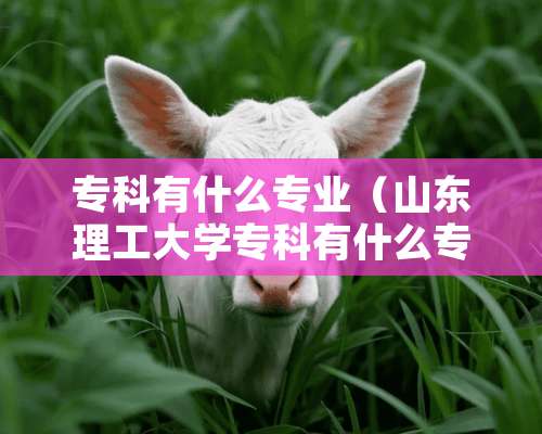 专科有什么专业（山东理工大学专科有什么专业）