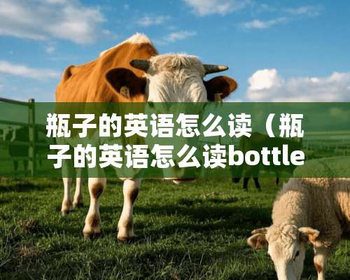 瓶子的英语怎么读（瓶子的英语怎么读bottles）