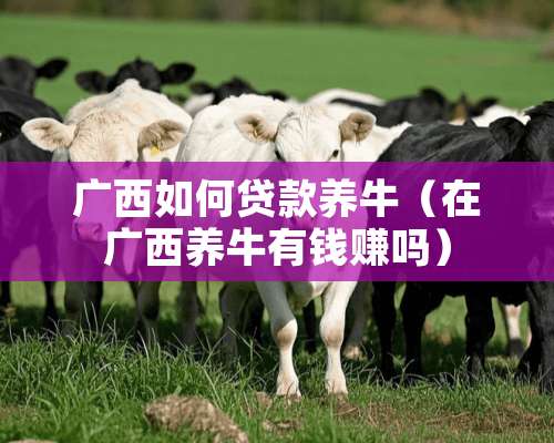 广西如何贷款养牛（在广西养牛有钱赚吗）