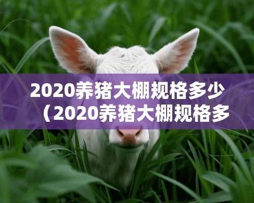 2020养猪大棚规格多少（2020养猪大棚规格多少钱一亩）