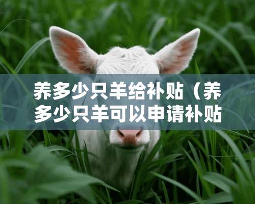 养多少只羊给补贴（养多少只羊可以申请补贴）