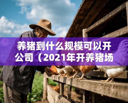 养猪到什么规模可以开公司（2021年开养猪场怎么样）