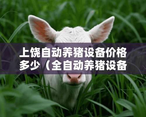 上饶自动养猪设备价格多少（全自动养猪设备批发）