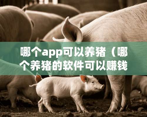 哪个app可以养猪（哪个养猪的软件可以赚钱）