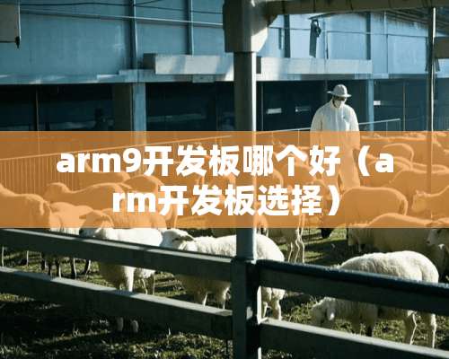 arm9开发板哪个好（arm开发板选择）