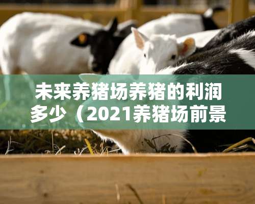 未来养猪场养猪的利润多少（2021养猪场前景）