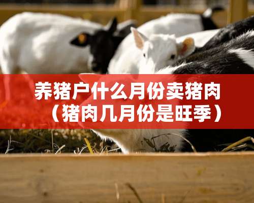 养猪户什么月份卖猪肉（猪肉几月份是旺季）